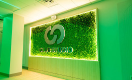 Club_Studio_Green_Wall