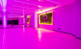 Magenta_Cardio