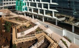 29_MerriweatherTwo-scaled