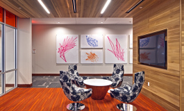 The Callaway House is located at 505 West 22nd Street in Austin, Texas just 1 block from the University of Texas
Developed by American Campus Communities. Architecture by STG Architects. Interior Design by Sixth River Architects. General Contractor is Harvey Cleary Builders. Landscape Design by Bury + Partners